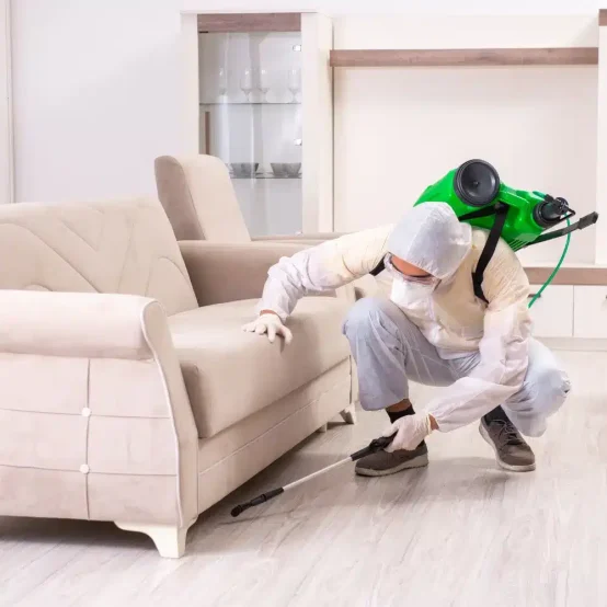 Tick-and-Mosquito-Control-Company-Near-Me-in-Massachusett_-Comprehensive-Pest-Control-Services-for-Your-Home