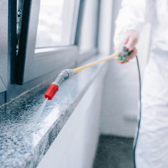 img-disinfestazione-01