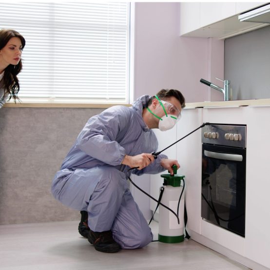 white red minimalist pest control landscape Banner